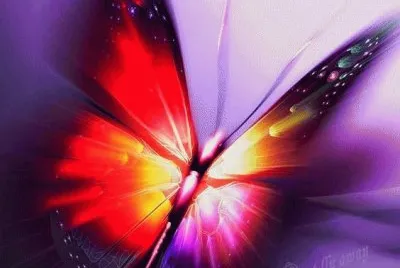Amazing Butterfly