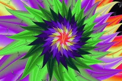 Anna Fractal