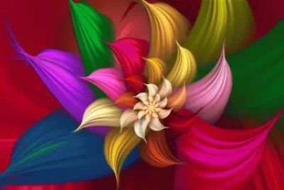 Satiny Bloom