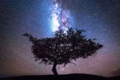 maravillas de Dios