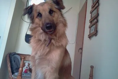 Tobi 5