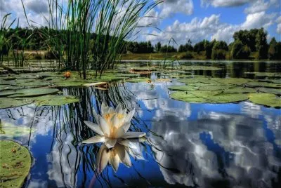 Landschaft