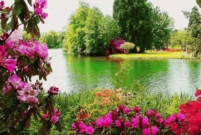 Landschaft
