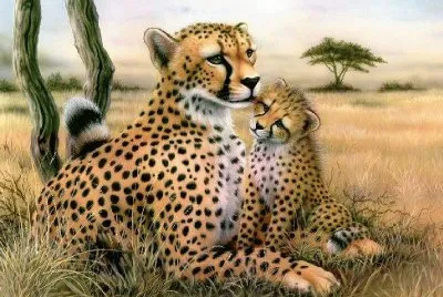 onÃ§a jigsaw puzzle