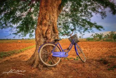 NATUREZA