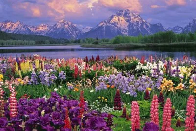 Grand Teton National Park