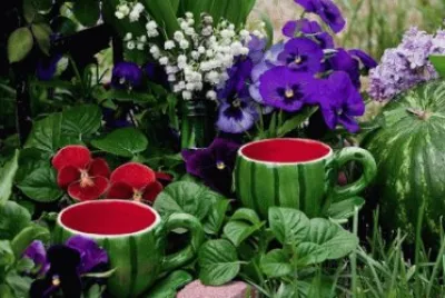 Watermelon Tea Cups in the Garden