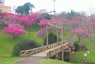 imagens