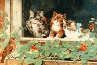 gatinhos