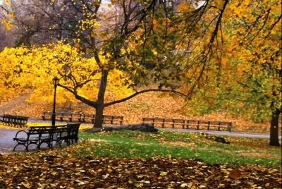 autumn-138