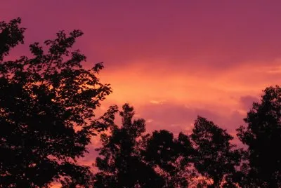 Fiery Renous sunrise..just before the rain!