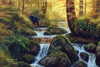 urso jigsaw puzzle