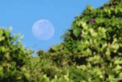 Super Luna