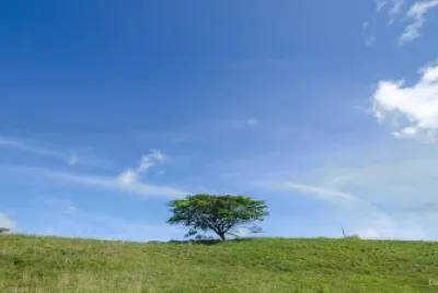 Solitario
