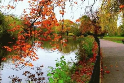Landschaft jigsaw puzzle