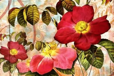 flor