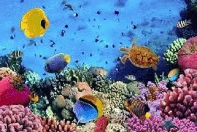 VENEZUELA jigsaw puzzle