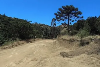 Paisaje