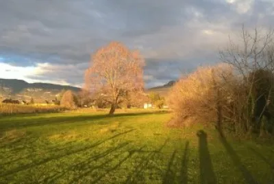 Paysage champÃªtre