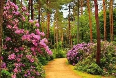 Landschaft