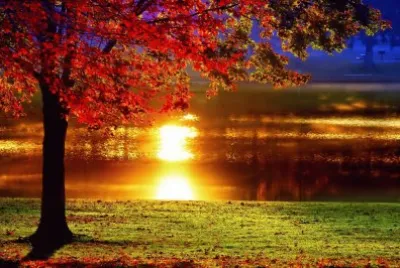 Landschaft jigsaw puzzle