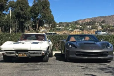 stingray