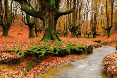 Landschaft jigsaw puzzle