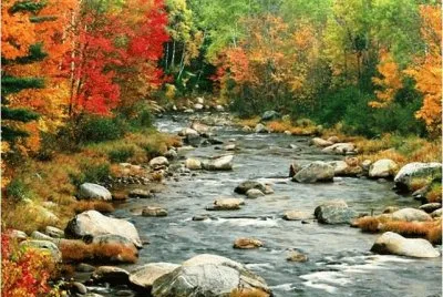 autumn-139
