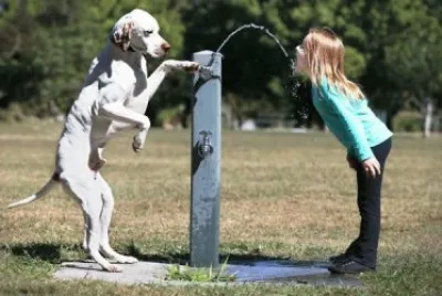 WITH A LITTLE HELP