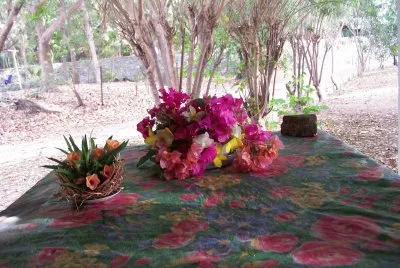 Fleurs de la RÃ©union