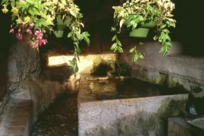 Lavoir fleuri