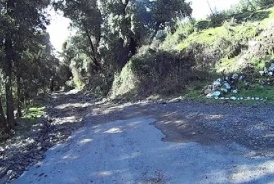 Paisaje