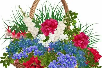 imagens jigsaw puzzle