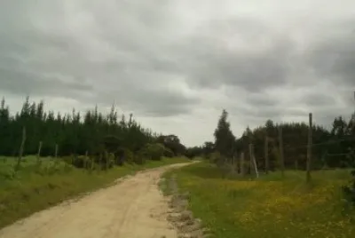 Paisaje