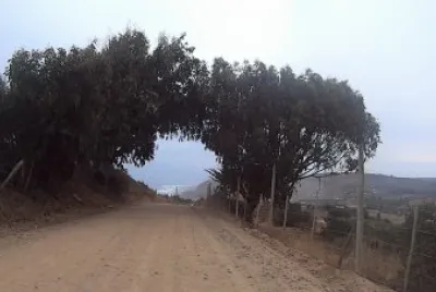 Paisaje