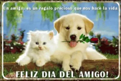 פאזל של Feliz DÃ­a del Amigo