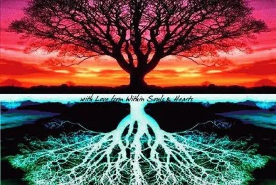 Reflections Tree