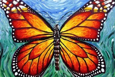 Butterfly