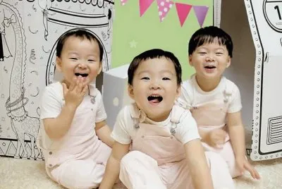 dehanmingukmanse