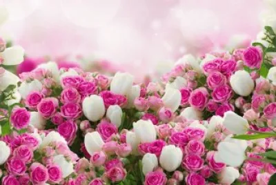 Cores e Sabores