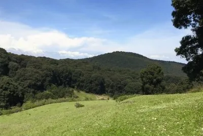 bellos paisajes