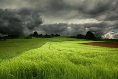 פאזל של tormenta