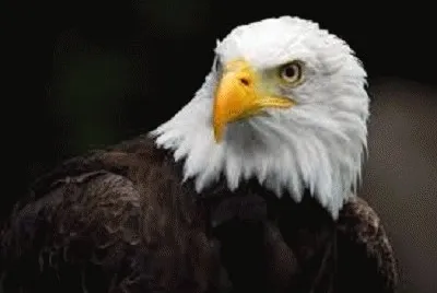 NATURALEZA VZLA