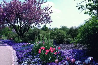 Landschaft