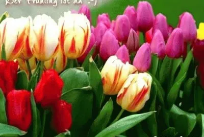Blumen