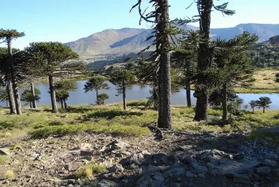 Caviahue. NeuquÃ©n. Argentina