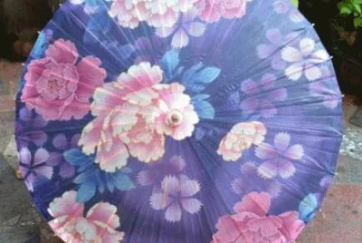 Pretty Handmade Chinese Parasol