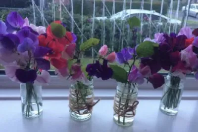 Gorgeous Display of Fresh Cut Flowers