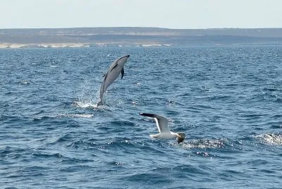 En Puerto Madryn. Chubut. Argentina