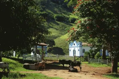 campo